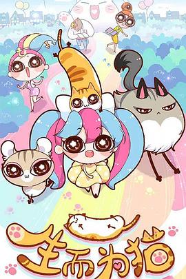 网站排名优化公司费用